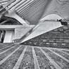 images/Luik-Guillermins/Station Luik-Guillemins 15.jpg